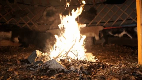 Fire Place in the Forest Video stock 106754610