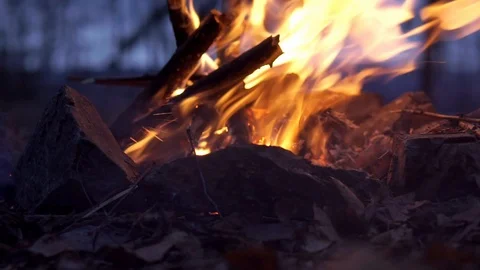 Fire Place in the Forest Video stock 106754937