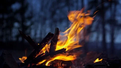 Fire Place in the Forest Video stock 106755036
