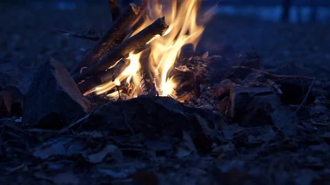 Fire Place in the Forest Video stock 106755098