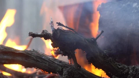 Fire plame in bbq C0003 4k Stock Footage 111687124