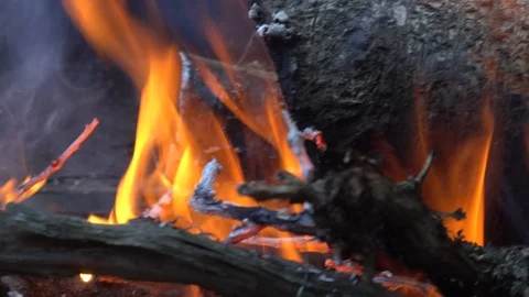Fire plame in bbq C0004 4k Stock Footage 111687000
