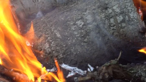 Fire plame in bbq C0006 4k Stock Footage 111687083