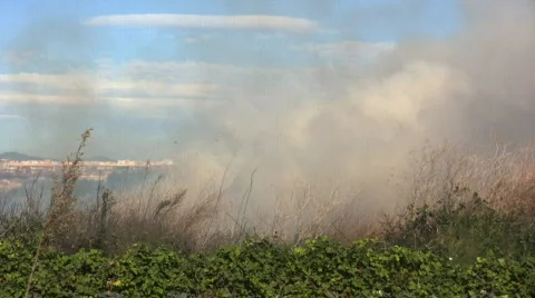 Fire on the plantation 库存影片 561240