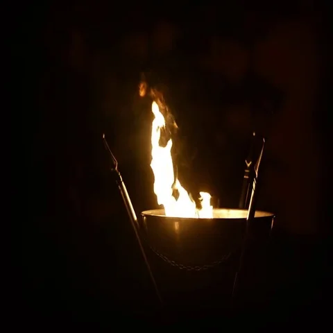 Fire in the plate a part of fire show performance Video stock 69386255