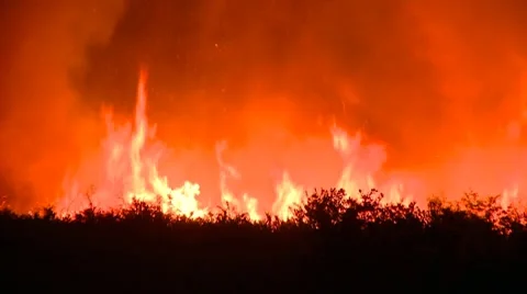 Fire in prairie Video stock 7902309