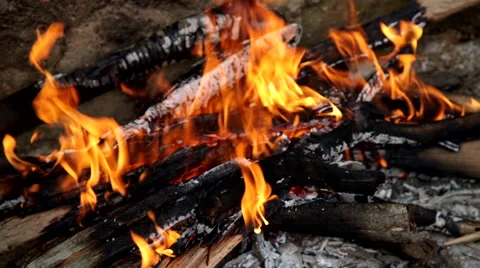 Fire for the preparation of the embers Stock Footage 68416507