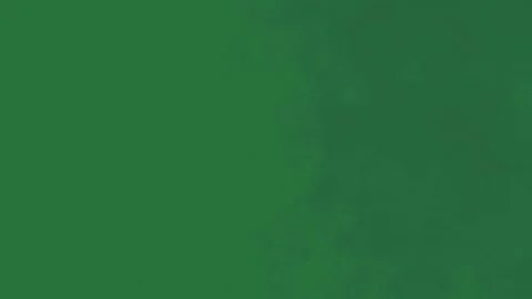 Fire Professional On Green Screen Chroma Key Background Stock Footage 338015642