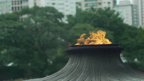 Fire Pyre Torch in Public Garden with Slow Motion Movement at Twilight Stock Footage 263965594