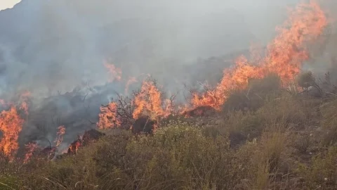 Fire rages through dry hillside, smoke billows Stock Footage 341465997