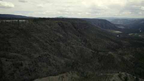 Fire ravaged Hills in the Chilcotin, late July 2024 Stock Footage 280934964