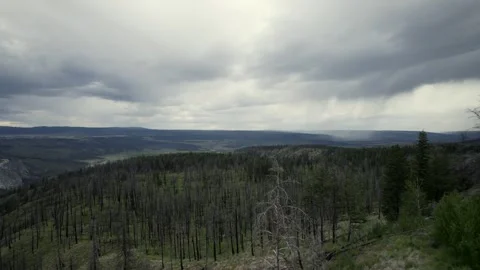 Fire ravaged Hills in the Chilcotin, late July 2024 Stock Footage 280934965