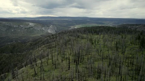 Fire ravaged Hills in the Chilcotin, late July 2024 Stock Footage 280934969