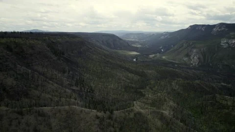 Fire ravaged Hills in the Chilcotin, late July 2024 Stock Footage 280934972