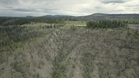 Fire ravaged Hills in the Chilcotin, late July 2024 Stock Footage 280935102