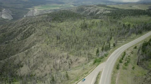 Fire ravaged Hills in the Chilcotin, late July 2024 Stock Footage 280935105