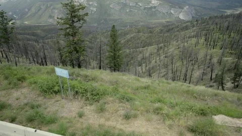 Fire ravaged Hills in the Chilcotin, late July 2024 Stock Footage 280935292