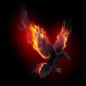 Fire raven Illustrazione stock