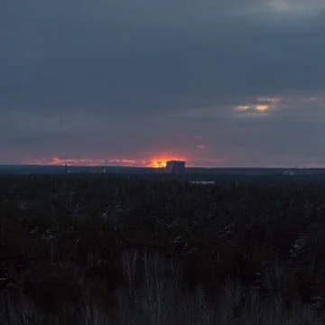 Fire red sunset over the treetops Stock Photos