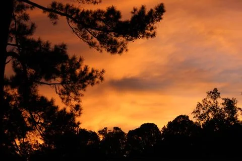 Fire Red Sunset 写真素材