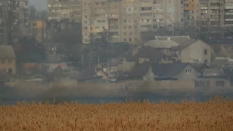 Fire on the reed field. Nature disaster near the city. Stock Footage 105016643