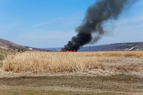 Fire in the reed Stock Photos