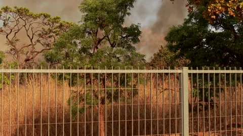 Fire the Result of Arson breaks out in Burle Marx Park in Brasilia Stock Footage 284883259