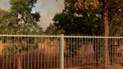 Fire the Result of Arson breaks out in Burle Marx Park in Brasilia Stock Footage 284883290