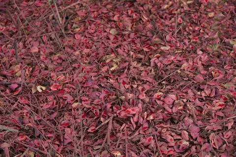 Fire Retardant Stock Photos