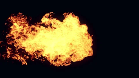 Fire Reveal On Black Stock Footage 242463032