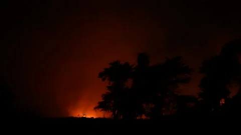 Fire at the river bottom in Ventura, CA after Santa Ana winds Stock Footage 144898578