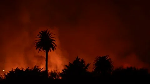 Fire at the river bottom in Ventura, CA after Santa Ana winds Stock Footage 144899750