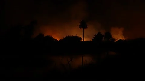 Fire at the river bottom in Ventura, CA after Santa Ana winds Stock Footage 144900275