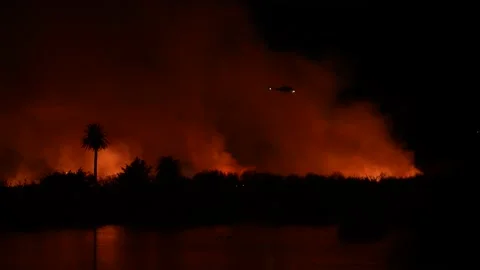 Fire at the river bottom in Ventura, CA after Santa Ana winds Stock Footage 144900407