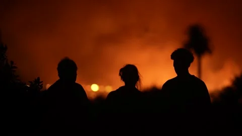 Fire at the river bottom in Ventura, CA after Santa Ana winds Stock Footage 144900429