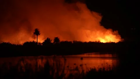 Fire at the river bottom in Ventura, CA after Santa Ana winds Stock Footage 144900482