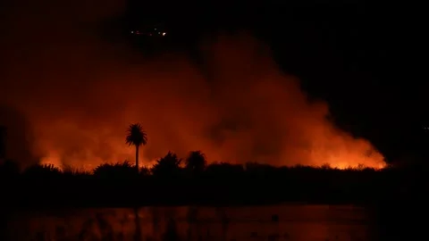Fire at the river bottom in Ventura, CA after Santa Ana winds Stock Footage 144900782
