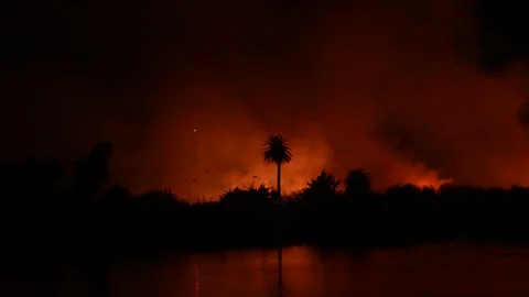 Fire at the river bottom in Ventura, CA after Santa Ana winds Stock Footage 144901830