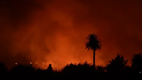Fire at the river bottom in Ventura, CA after Santa Ana winds Stock Footage 144905157