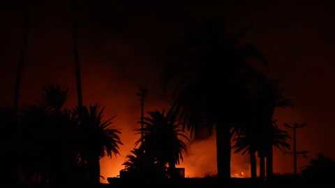 Fire at the river bottom in Ventura, CA after Santa Ana winds Video stock 144907400