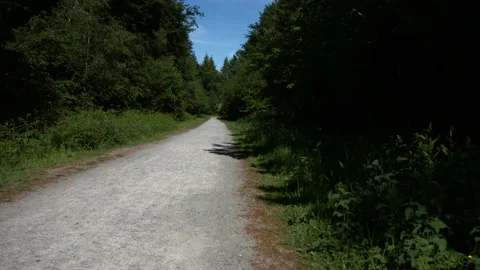 Fire road Video stock 133448321