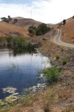 Fire road winds passed a small pond Stock Photos