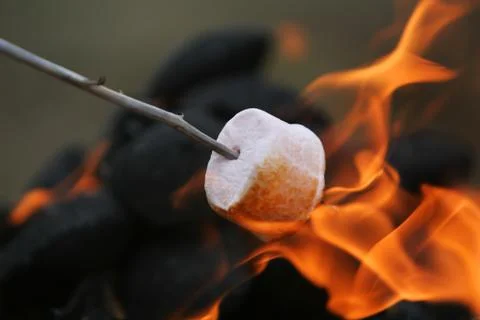 Fire roasted marshmallow Stock-Fotos