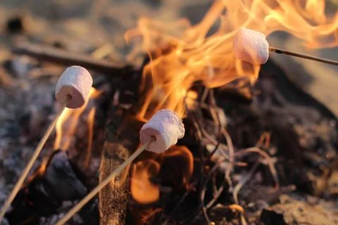 Fire roasted marshmallows Stock Photos