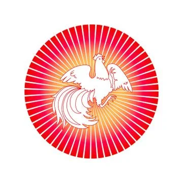 Fire Rooster 2017 Stock Illustration