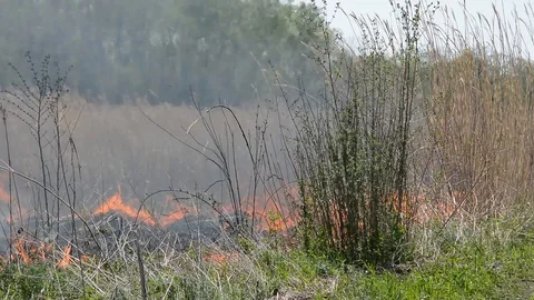 Fire in rush Video stock 102886207