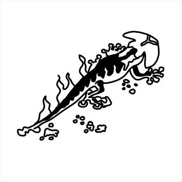 Fire salamander with flames in outline doodle style. Stock Illustration
