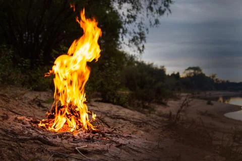 Fire on a sandy beach big flame. night sky. outdoor recreation concept Stock Photos