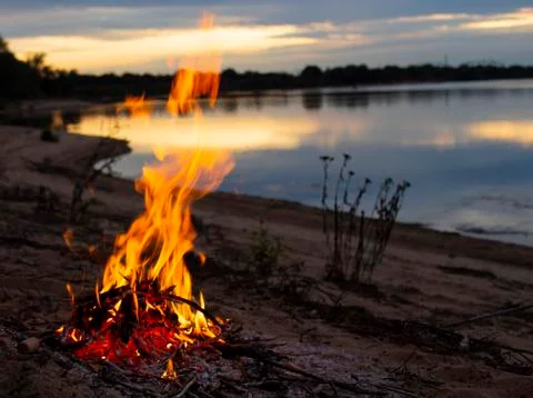 Fire on a sandy beach, large flames on the background of a lake and forest Stock Photos