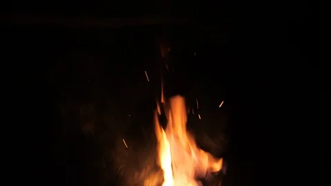 Fire in the Savannah Vidéo 115434671